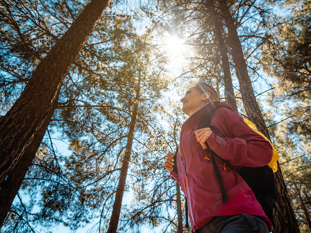 Female hiker navigating through pine trees in the Black Hills.